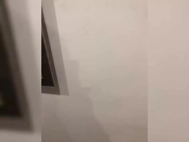 Offline -Megalodon1- on BongaCams