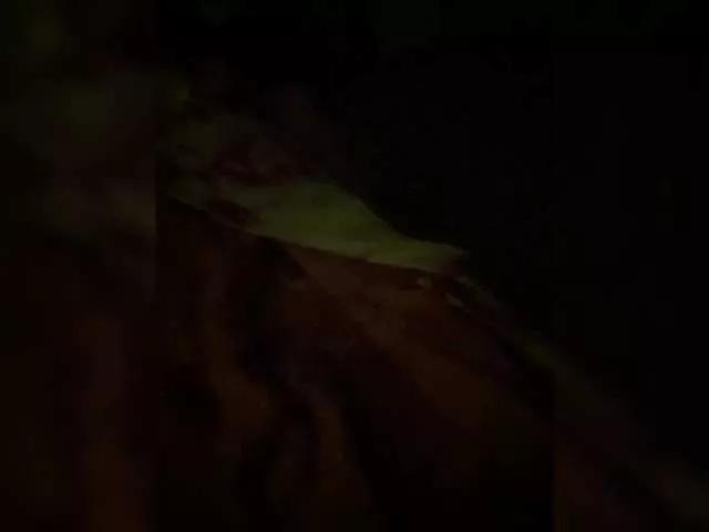 Offline MokoMila on BongaCams