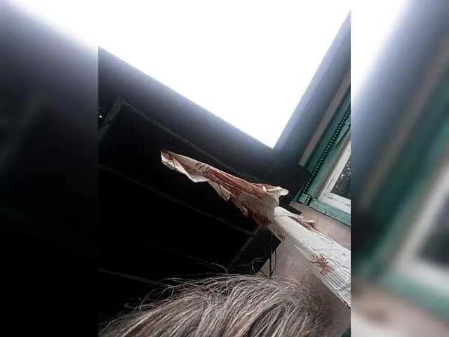 Freechat NormaHall on BongaCams