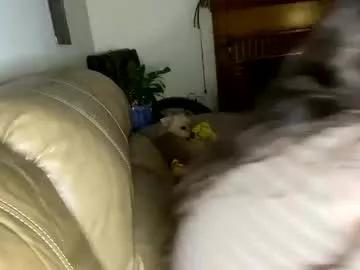 goodgirlcelestecat on Chaturbate 