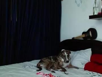 kitty_vaal on Chaturbate 