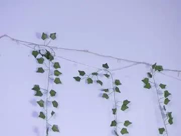 lyly_loveyou on Chaturbate 