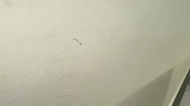 Private Arlet_pink on StripChat