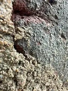 couplesexroom on StripChat