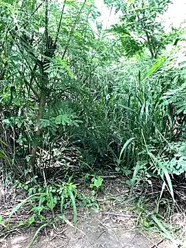 couplesexroom on StripChat