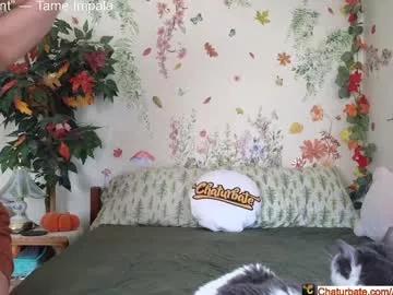 aliceriverscam from Chaturbate is Freechat